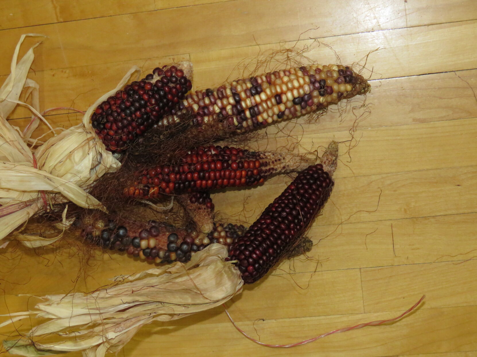 Pawnee red corn, variations